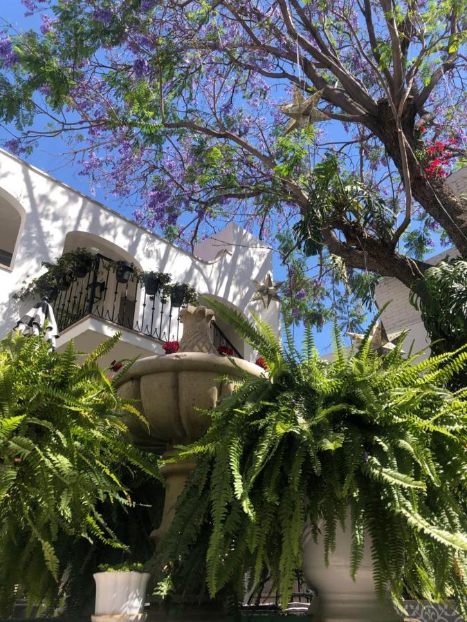 Casa Lani Luxury B&B San Miguel de Allende Extérieur photo