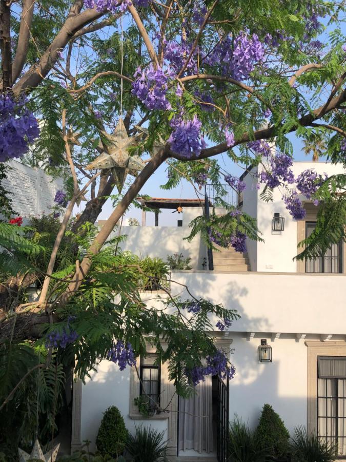 Casa Lani Luxury B&B San Miguel de Allende Extérieur photo