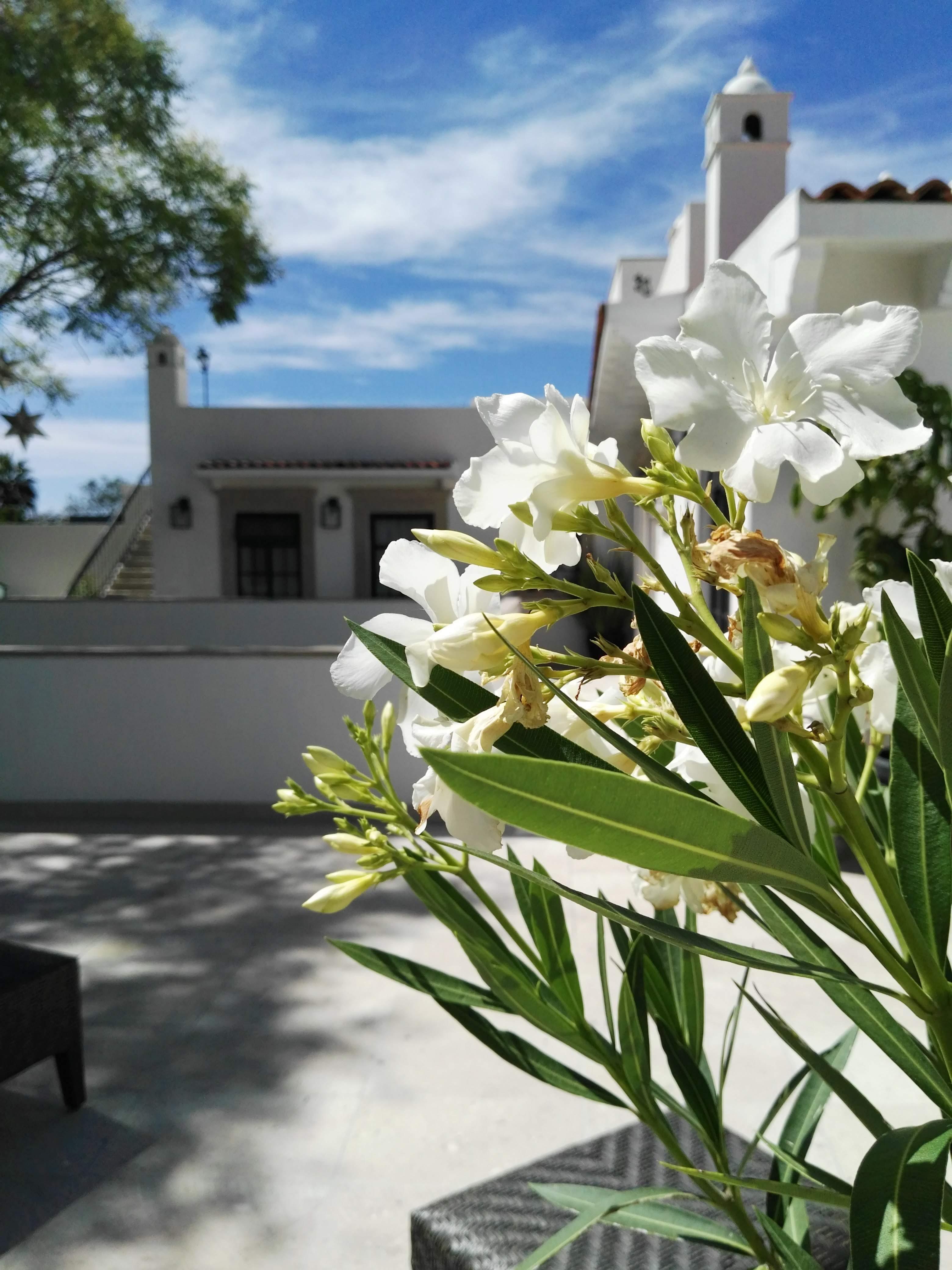 Casa Lani Luxury B&B San Miguel de Allende Extérieur photo