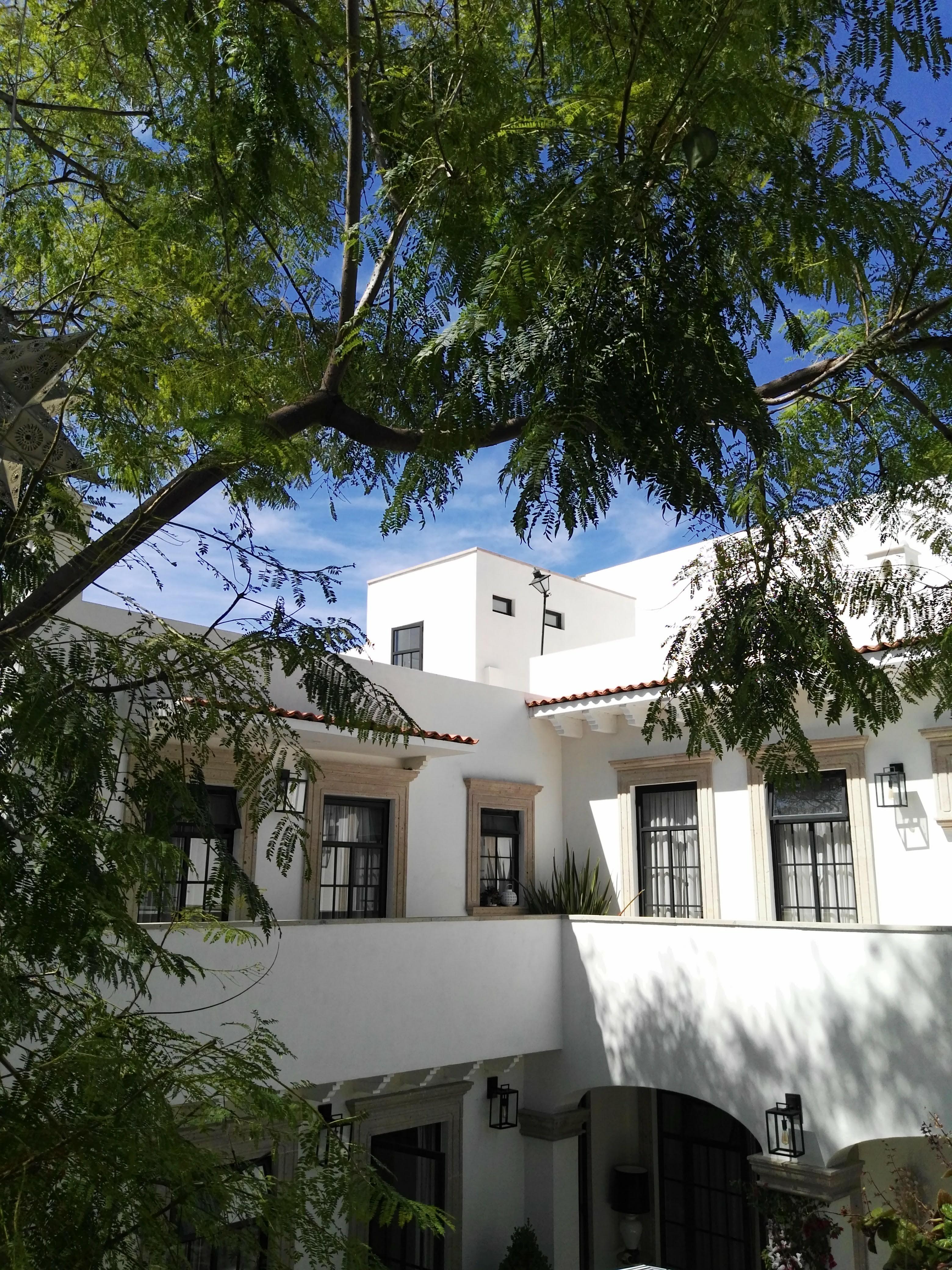 Casa Lani Luxury B&B San Miguel de Allende Extérieur photo