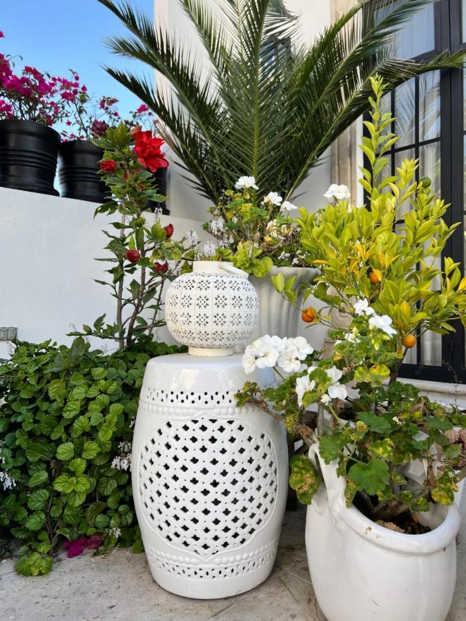Casa Lani Luxury B&B San Miguel de Allende Extérieur photo