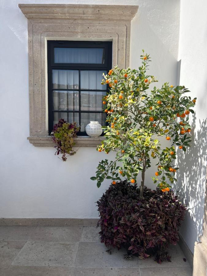 Casa Lani Luxury B&B San Miguel de Allende Extérieur photo